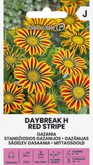 Sädelev gasaania daybreak h red stripe цена и информация | Семена цветов | kaup24.ee