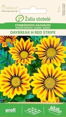 Sädelev gasaania daybreak h red stripe цена и информация | Зайцехвост яйцевидный | kaup24.ee