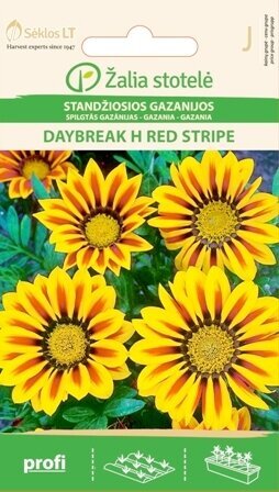 Sädelev gasaania daybreak h red stripe цена и информация | Lilleseemned | kaup24.ee