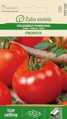 Söödavad tomatid Promyk цена и информация | Семена овощей, ягод | kaup24.ee