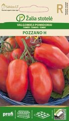 Tomatid Pozzano H hind ja info | Köögivilja-, marjaseemned | kaup24.ee