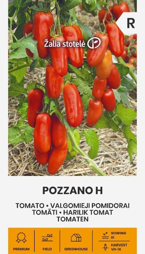 Tomatid Pozzano H цена и информация | Köögivilja-, marjaseemned | kaup24.ee