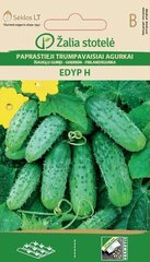 Kurgid Edyp H цена и информация | Семена овощей, ягод | kaup24.ee