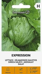 Aedsalat Expression цена и информация | Семена овощей, ягод | kaup24.ee