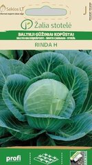 Valge kapsas Rinda H hind ja info | Köögivilja-, marjaseemned | kaup24.ee