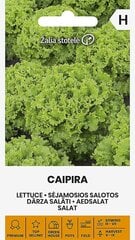 Caipira seemnesalat цена и информация | Семена овощей, ягод | kaup24.ee