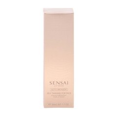 Silk y Bronze (isepruunistav näole) 50 ml цена и информация | Кремы для автозагара | kaup24.ee