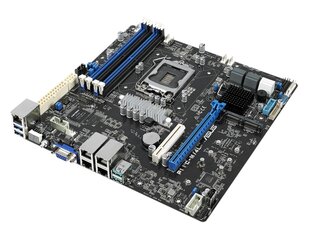 ASUS P11C-M/4L Intel C242 LGA 1151 (Socket H4) micro ATX hind ja info | Emaplaadid | kaup24.ee