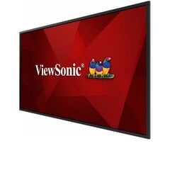 Монитор Viewsonic CDE5520, 139.7 см, 4K, Ultra HD цена и информация | Мониторы | kaup24.ee