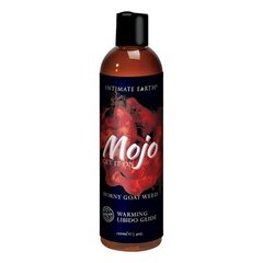 Libesti Mojo Horny Goat Weed Libido Intimate Earth (120 ml) цена и информация | Лубриканты | kaup24.ee