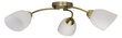 Activejet Pendant lamp AJE-BENITA 3P E27 3x40W Patina hind ja info | Laelambid | kaup24.ee