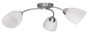 Activejet Pendant lamp AJE-BENITA 3P E27 3x40W Nikiel hind ja info | activejet Mööbel ja sisustus | kaup24.ee