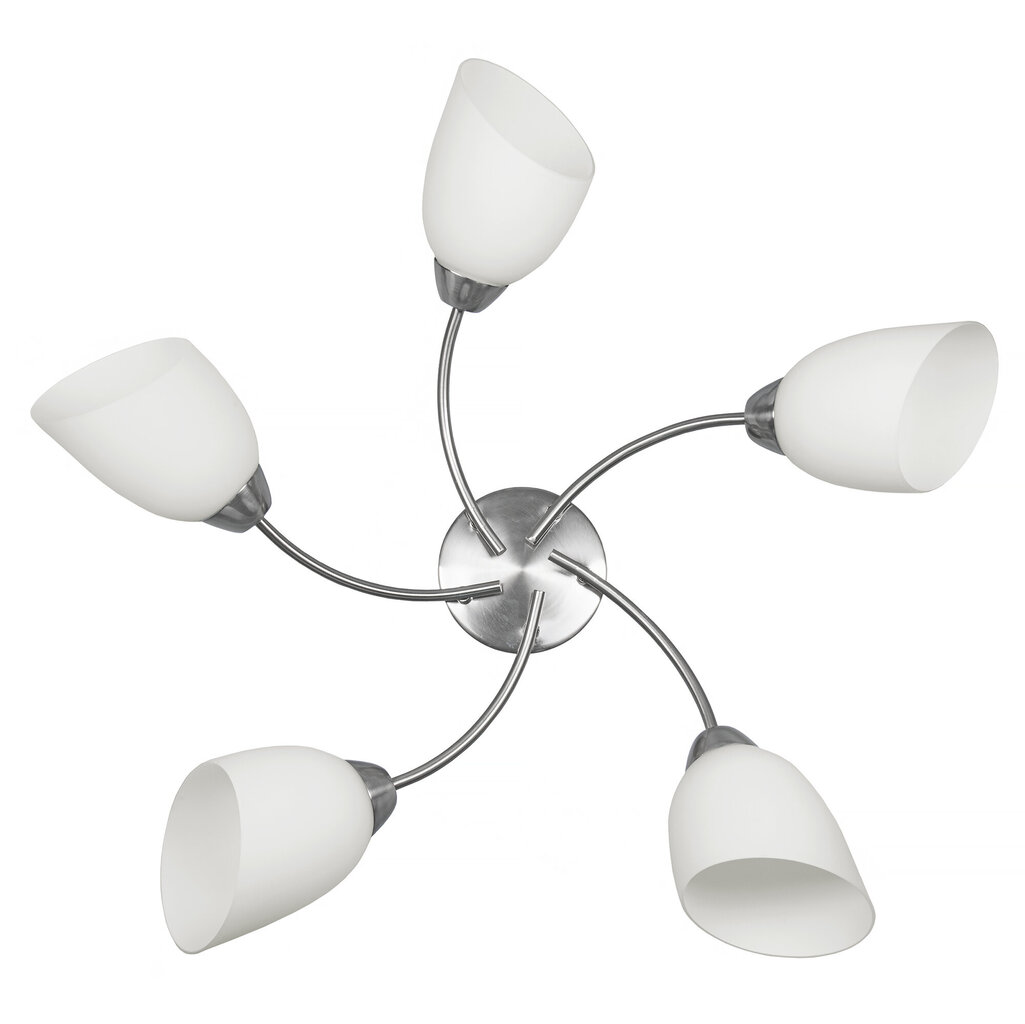 Activejet Pendant lamp AJE-BENITA 5P E27 5x40W Nikiel цена и информация | Laelambid | kaup24.ee