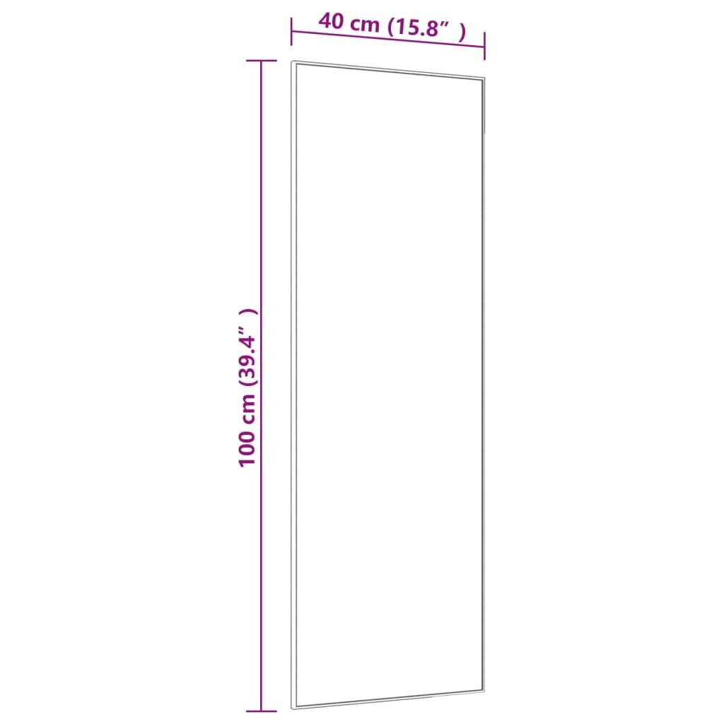 vidaXL uksepeegel, must, 40 x 100 cm, klaas ja alumiinium цена и информация | Peeglid | kaup24.ee