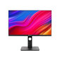 AG Neovo 23.8" Wide QHD DW2401 hind ja info | Monitorid | kaup24.ee