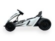 Drift Go-Karts Rolzone, 24-voldiste 200-vatiste mootoritega (18 km/h) цена и информация | Laste elektriautod | kaup24.ee