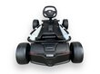 Drift Go-Karts Rolzone, 24-voldiste 200-vatiste mootoritega (18 km/h) цена и информация | Laste elektriautod | kaup24.ee