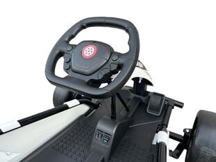 Drift Go-Kart Rolzone с двигателями 24 В 200 Вт (18 км/ч) цена и информация | Электромобили для детей | kaup24.ee