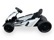 Drift Go-Karts Rolzone, 24-voldiste 200-vatiste mootoritega (18 km/h) цена и информация | Laste elektriautod | kaup24.ee