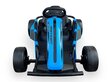 Drift Go-Karts Rolzone, 24-voldiste 200-vatiste mootoritega (18 km/h) hind ja info | Laste elektriautod | kaup24.ee