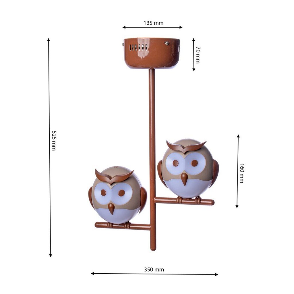 Milagro lastelamp Owl цена и информация | Lastetoa valgustid | kaup24.ee