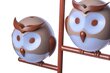 Milagro lastelamp Owl цена и информация | Lastetoa valgustid | kaup24.ee