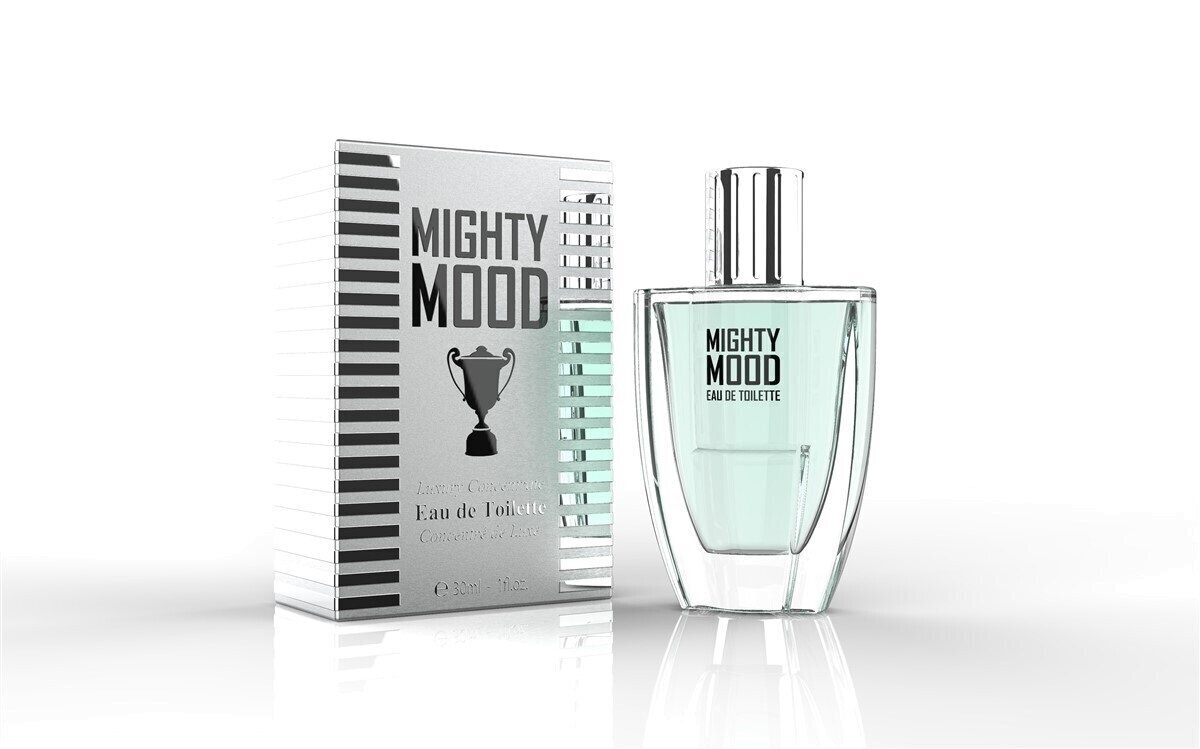 Parfüümvesi Linn Young Mighty Mood EDT meestele 30ml hind ja info | Naiste parfüümid | kaup24.ee