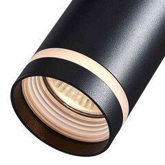 Milagro подвесной светильник Pipe Ring Track цена и информация | Потолочный светильник, 38 x 38 x 24 см | kaup24.ee