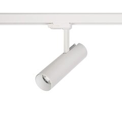 LED-valgusti Nowodvorski CTLS Milo 15W 4000K 8765 цена и информация | Люстры | kaup24.ee