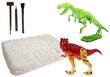 Tyrannosaurus Rex arheoloogilise kaevamise komplekt hind ja info | Poiste mänguasjad | kaup24.ee