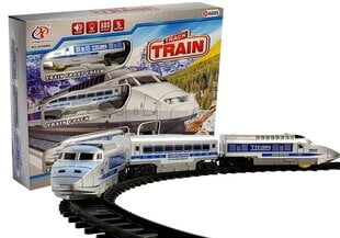 Игрушечный поезд с рельсами Track Train цена и информация | Игрушки для мальчиков | kaup24.ee