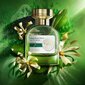 Naiste parfüümvesi Avon Artistique Magnolia En Fleurs, 50 ml hind ja info | Naiste parfüümid | kaup24.ee