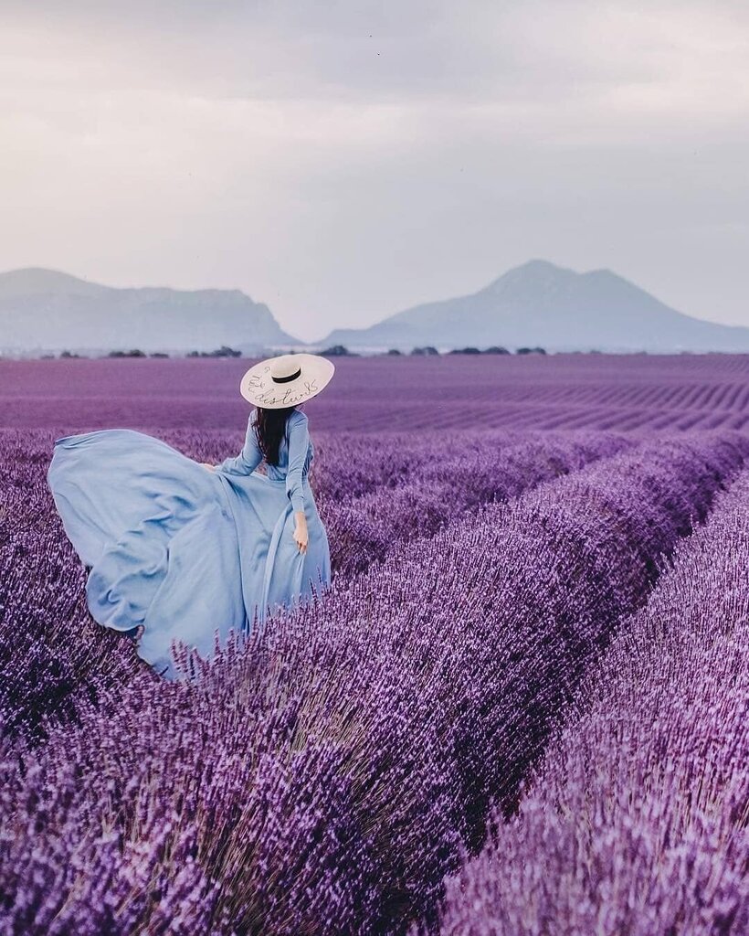 Jalgigeel ''Provence Lavender" Refan hind ja info | Kehakreemid, losjoonid | kaup24.ee