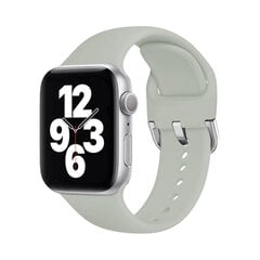 Силиконовый ремешок Active для Apple Watch — Светло-серый 38/40/41мм цена и информация | Аксессуары для смарт-часов и браслетов | kaup24.ee