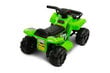 Laste elektriline neljarattaline Toyz Raptor, roheline hind ja info | Laste elektriautod | kaup24.ee