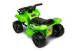 Laste elektriline neljarattaline Toyz Raptor, roheline hind ja info | Laste elektriautod | kaup24.ee