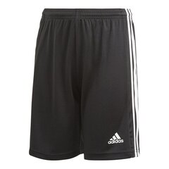 Шорты Adidas Squad 21 Short Black GN5767 цена и информация | Шорты для мальчиков | kaup24.ee