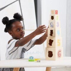VIGA puidust püramiidpuzzle klotside sorteerija цена и информация | Развивающие игрушки | kaup24.ee