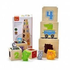 VIGA puidust püramiidpuzzle klotside sorteerija цена и информация | Развивающие игрушки | kaup24.ee