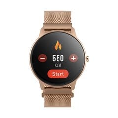 Forever Smartwatch ForeVive 2 Slim SB-325 rose gold цена и информация | Forever Ноутбуки, аксессуары | kaup24.ee