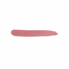 Mаркер для губ Kiko Milano Long Lasting Colour Lip Marker, 109 Natural Rose цена и информация | Помады, бальзамы, блеск для губ | kaup24.ee