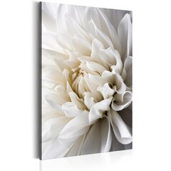 Pilt - White Dahlia 60x90 cm hind ja info | Seinapildid | kaup24.ee