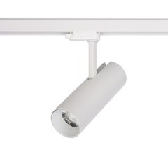 LED valgusti Nowodvorski CTLS Milo 25W 3000K 8762 цена и информация | Люстры | kaup24.ee