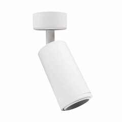 Потолочный светильник Milagro Spot Mica Zoom White цена и информация | Потолочные светильники | kaup24.ee