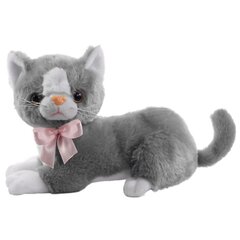 Beppe Pehme mänguasi Cat Flico kaarega 34 cm цена и информация | Мягкие игрушки | kaup24.ee