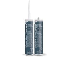 Silicone Color 16, 310 ml hallitusevastane silikoon-hermeetik цена и информация | Изоляционный и уплотняющий упаковочный материал | kaup24.ee