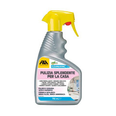 Universaalne puhastusvahend Clean & Shine, 750 ml hind ja info | Puhastusvahendid | kaup24.ee