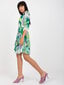 Naiste roheline satsiga kleit hind ja info | Kleidid | kaup24.ee