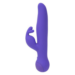 swan - trio rabbit vibrator purple цена и информация | Вибраторы | kaup24.ee