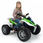 INJUSA BIG Quad Rage 24V Extreme alates 6 aastast kuni 50 kg hind ja info | Laste elektriautod | kaup24.ee